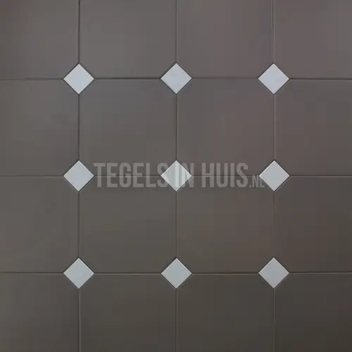 Alleen Vandaag Vloertegel – Wandtegel Octagon grijs 20×20 R9