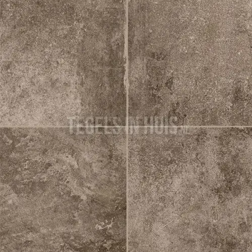 Op = Op Vloertegel – Wandtegel Tower bruin Musk 60x60cm gerectificeerd 24 designs R9