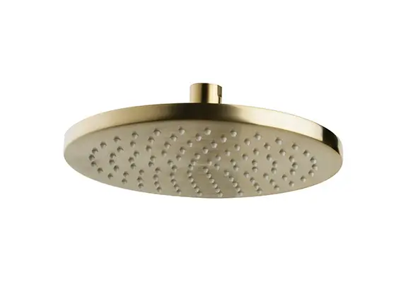 Caral hoofddouche rond 20 x 1,2 cm geborsteld messing Direct Verzonden
