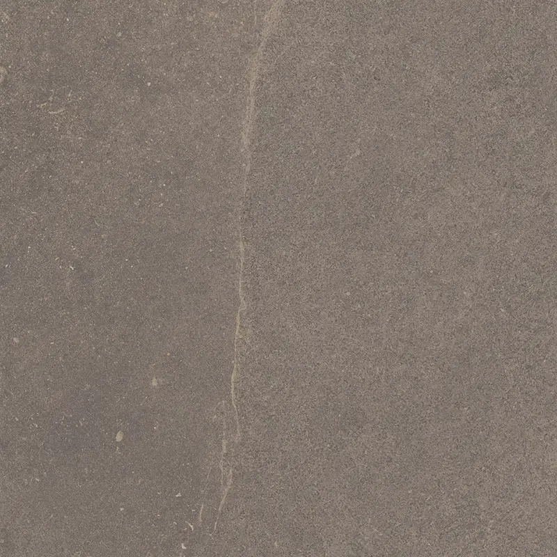 Bestseller Natuursteenlook - Vloertegel - Grijs - 120x120cm - Mat - F50PLMA