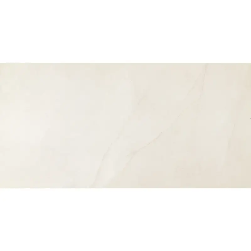 Betonlook ’?Vloertegel ’?Lichtgrijs ’?60x120cm ’?Mat ’?C05POCO Exclusieve Aanbieding