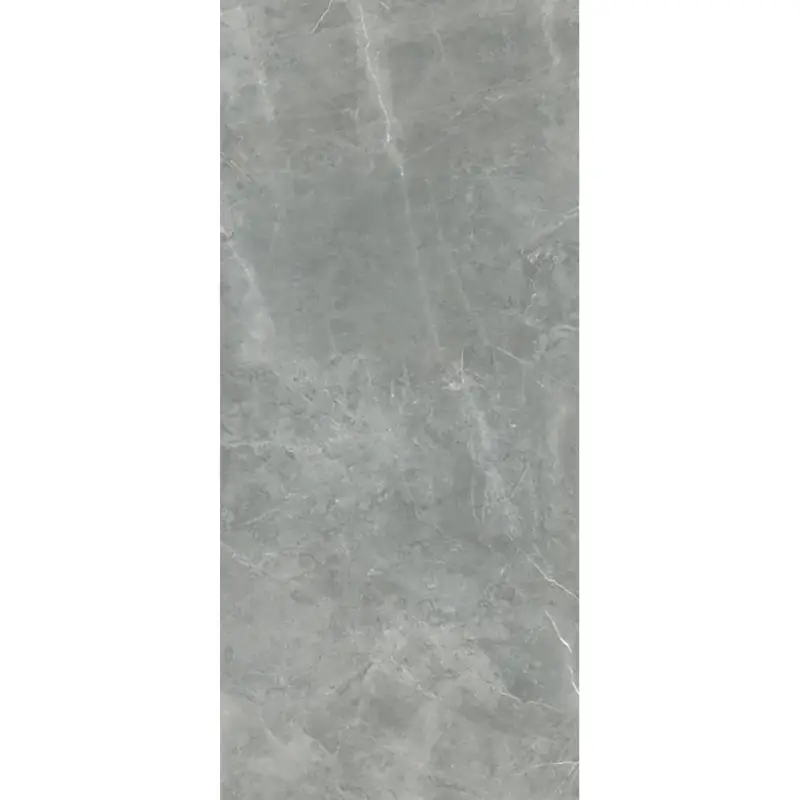 Nieuw Flaviker Supreme Evo - Grey Armani - Vloertegel - 120x280cm - Mat - 0008116