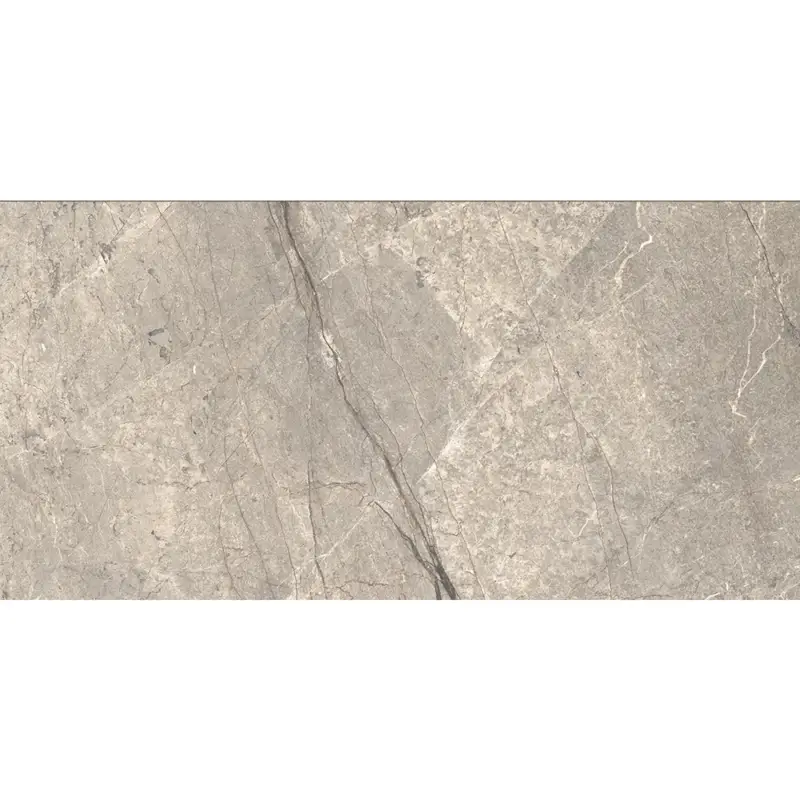 Direct Beschikbaar Caesar Anima Futura - Amazing Silver - Vloertegel - 60x120cm - Mat - AGB2