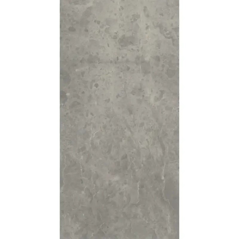 Caesar Portraits ’?Rouen ’?Vloertegel ’?60x120cm ’?Mat ’?AG37 Voordeelprijs
