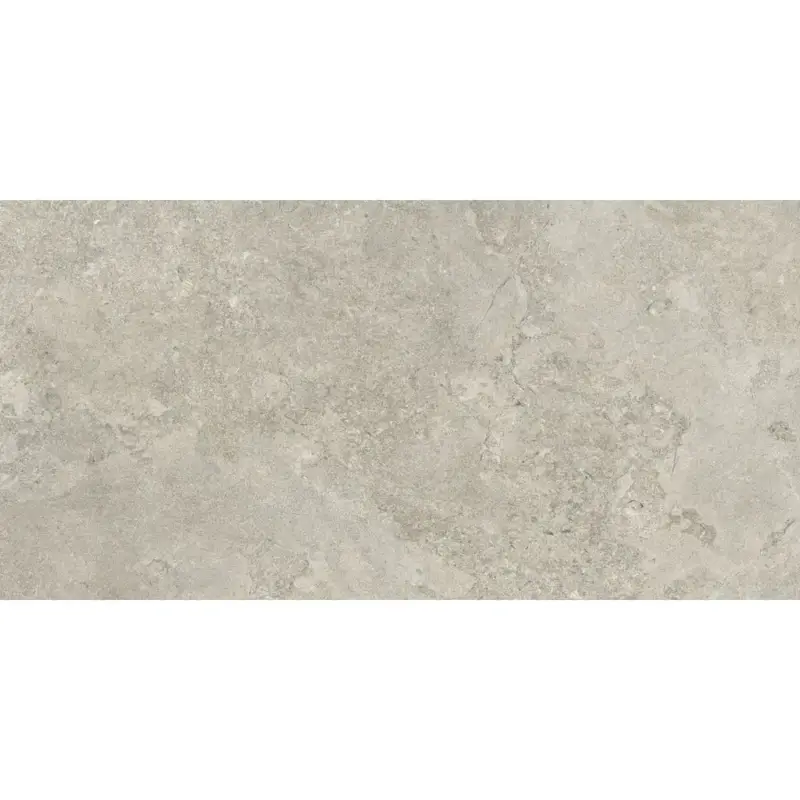 Bestel Nu Betonlook ’?Tuintegels ’?Grijs ’?60x120cm ’?Mat ’?C05PONE