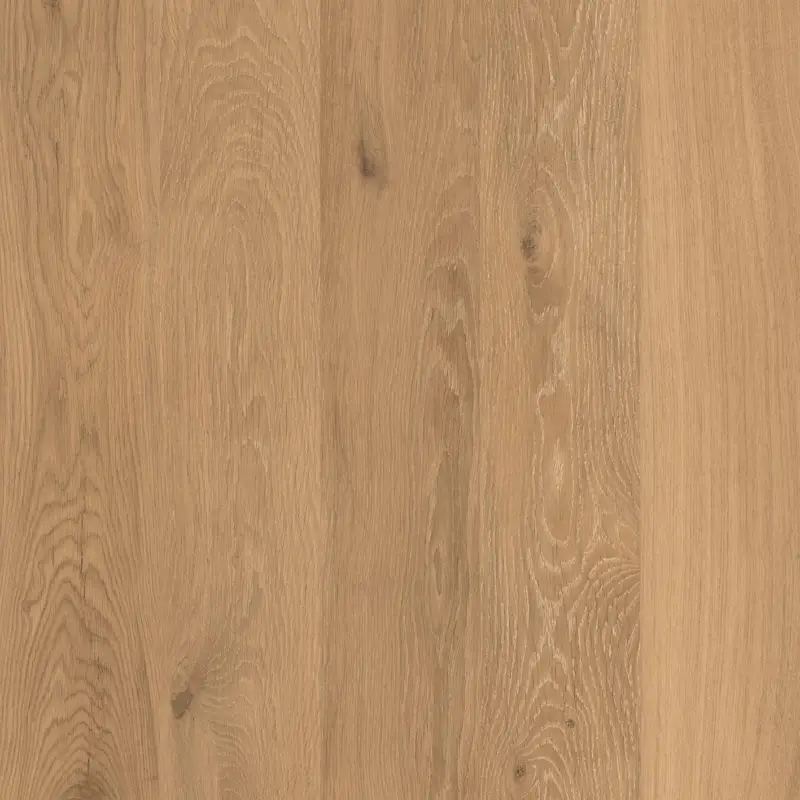 Fabrieksprijs Houtlook - Tuintegels - Beige - 60x60cm - Mat - C05COJO