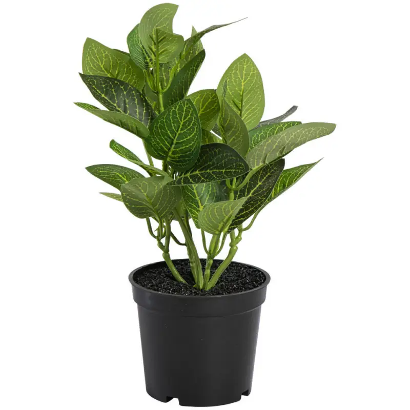 Kunstplant In Pot Fittonia Groen Op = Op