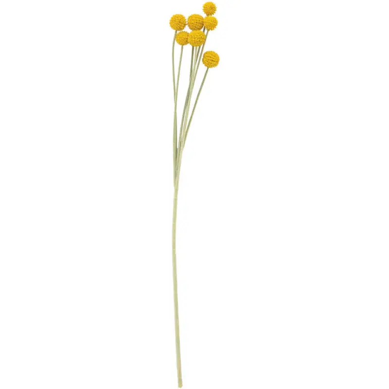 Goedkoop Kunstbloem Craspedia Geel