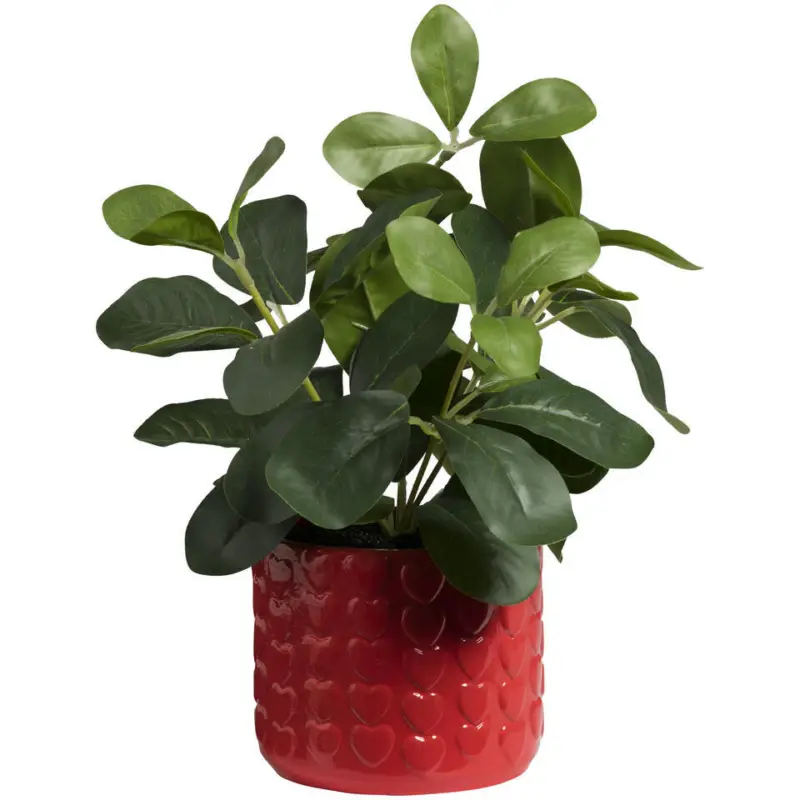 Kunstplant Stilo Rood/Groen Nieuw