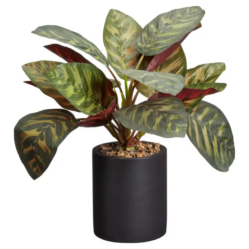 Kunstplant Calathea Groen Meest Verkocht