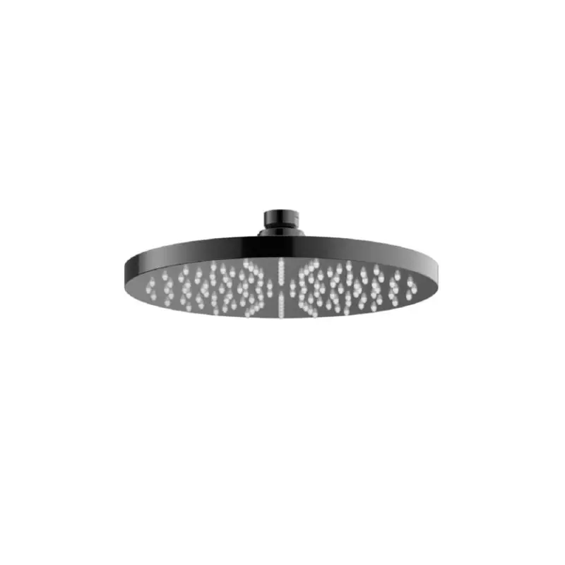 Goedkoop Hoofddouche 20 cm PBP PVD