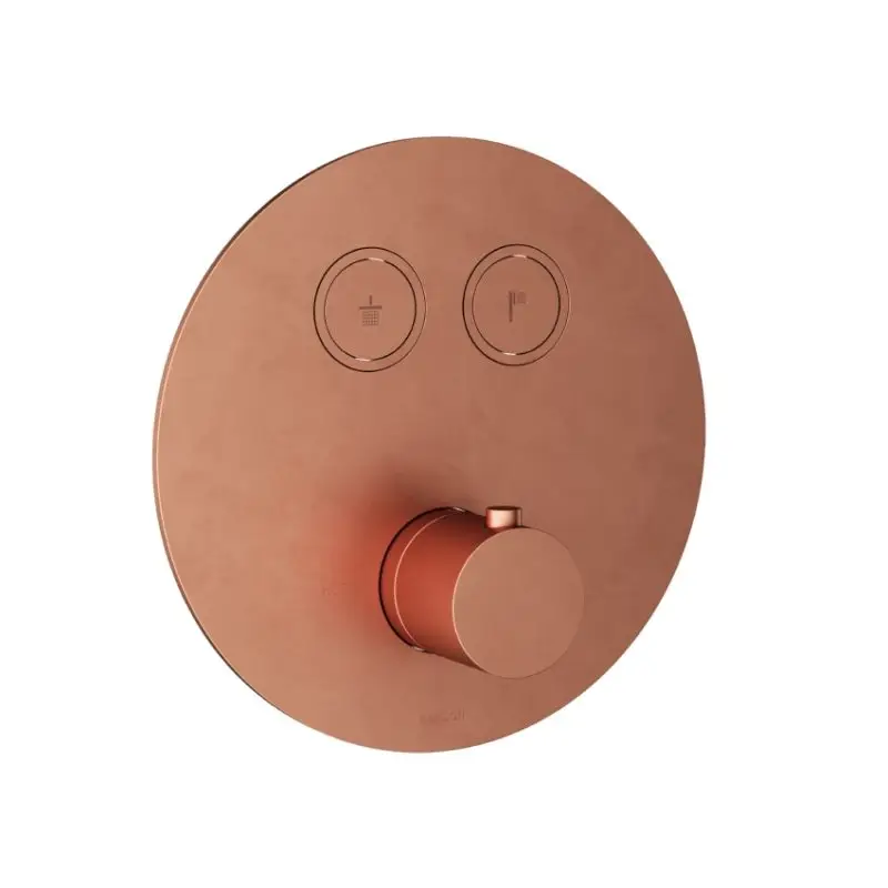 Bestel Nu Afbouwdeel – Inbouwthermostaat met 2 pushbuttons BC – Living Colours vormen een Poetsbaar patina