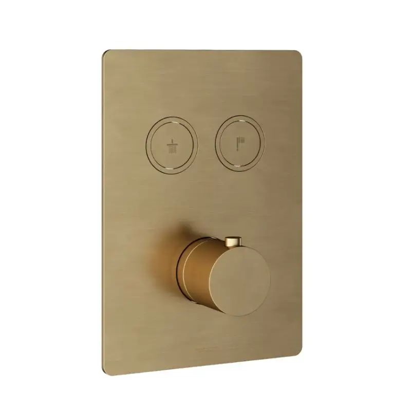 Dagaanbieding Afbouwdeel – Inbouwthermostaat met 2 pushbuttons BB – Living Colours vormen een Poetsbaar patina