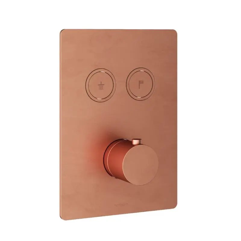 Afbouwdeel – Inbouwthermostaat met 2 pushbuttons BC – Living Colours vormen een Poetsbaar patina Exclusieve Aanbieding