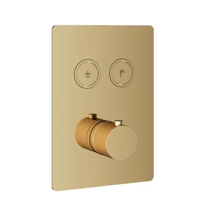 Goedkoop Afbouwdeel – Inbouwthermostaat met 2 pushbuttons NB – Living Colours vormen een Poetsbaar patina
