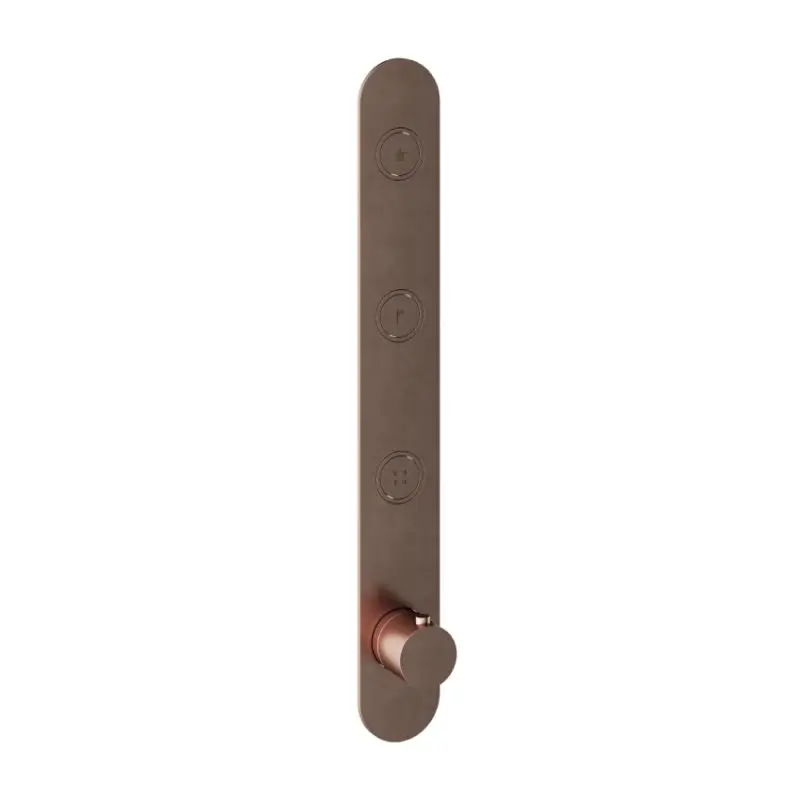 Koopje Afbouwdeel – Inbouwthermostaat met 3 pushbuttons verticale plaatsing BCP PVD