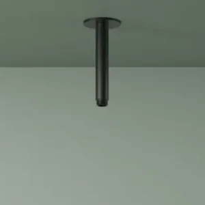 Direct Beschikbaar Plafondbuis 15 cm MBP PVD