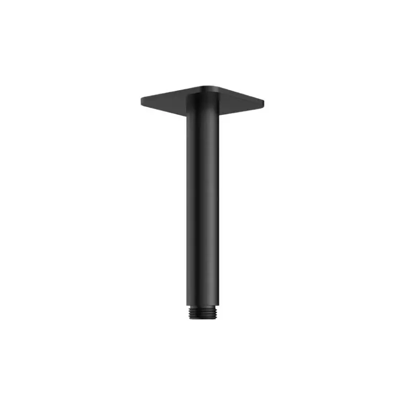 Bestseller Plafondbuis 15 cm BGP PVD