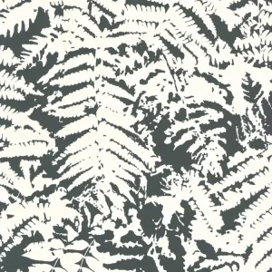 Little Greene Fern - Off Black Bestel Nu