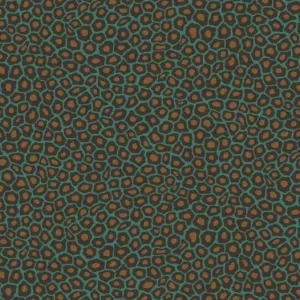 Dagaanbieding Cole & Son Senzo Spot - 109/6033