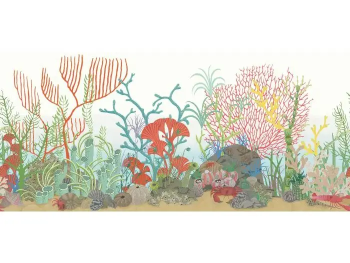 Cole & Son Archipelago Border - 103/12054 Korting