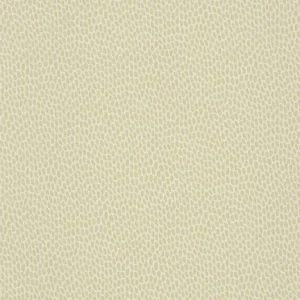 Paint & Paper Library Seedpod - Willow V Veilige Betaling