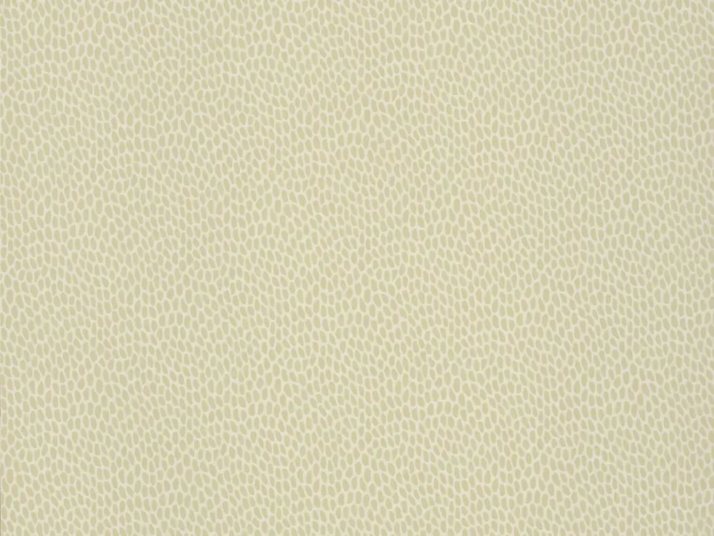 Paint & Paper Library Seedpod - Willow V Veilige Betaling