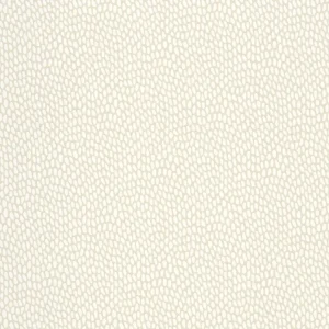 Must-Have Paint & Paper Library Seedpod - Sand