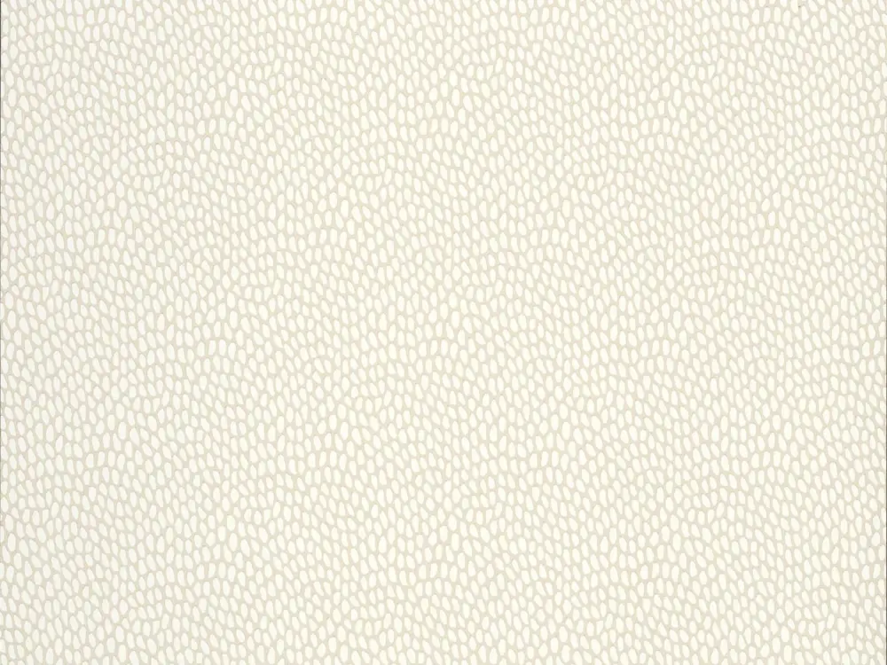 Must-Have Paint & Paper Library Seedpod - Sand