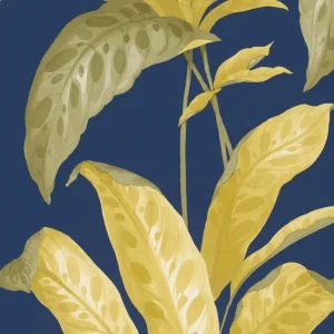 Direct Beschikbaar Paint & Paper Library Tropicane - Plimsoll