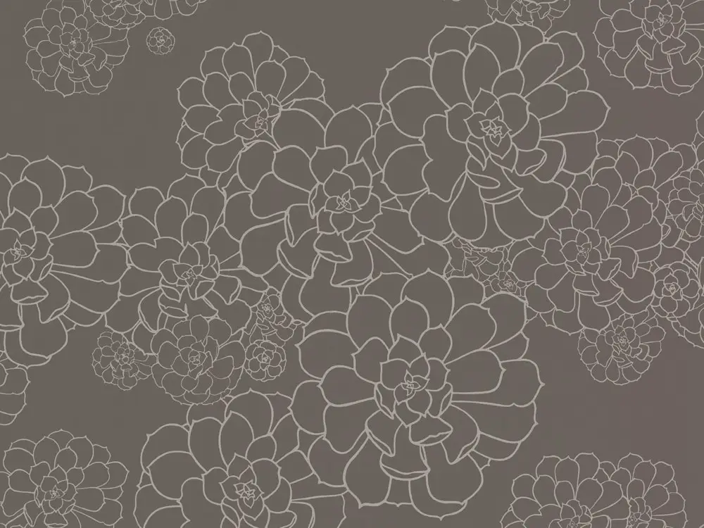 Voordeelprijs Paint & Paper Library Aeonium - Monument