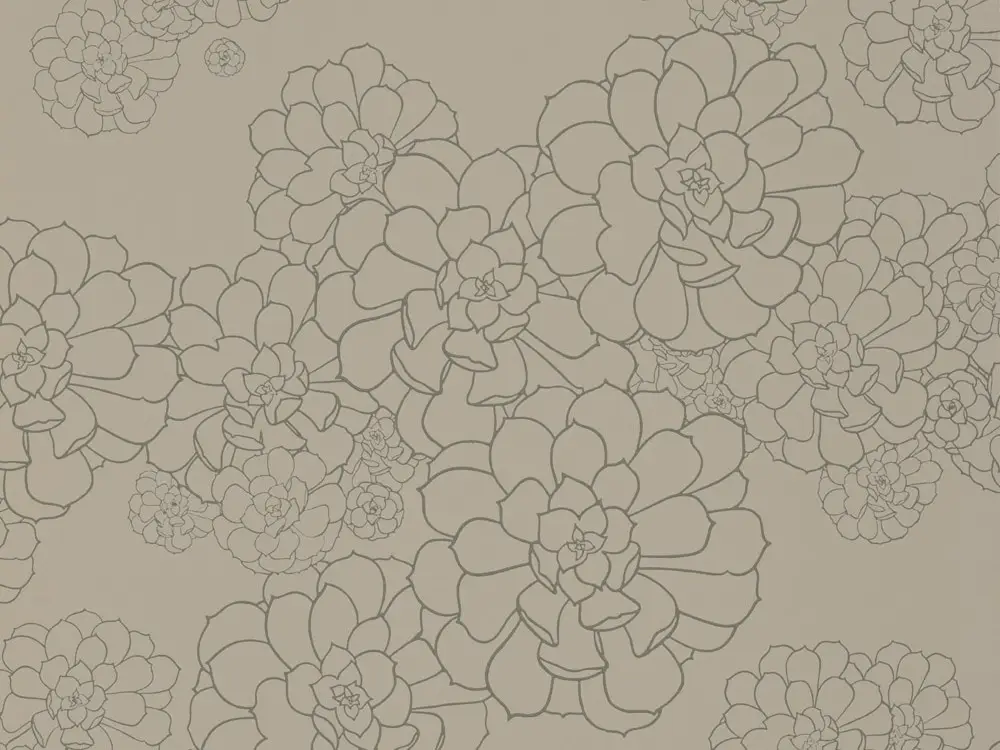 Paint & Paper Library Aeonium - Cotton Direct Beschikbaar