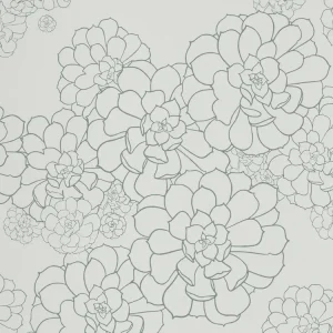 Koop Online Paint & Paper Library Aeonium - Blue Gum