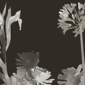 Paint & Paper Library Aloe Walk - Perse Grey Dagaanbieding