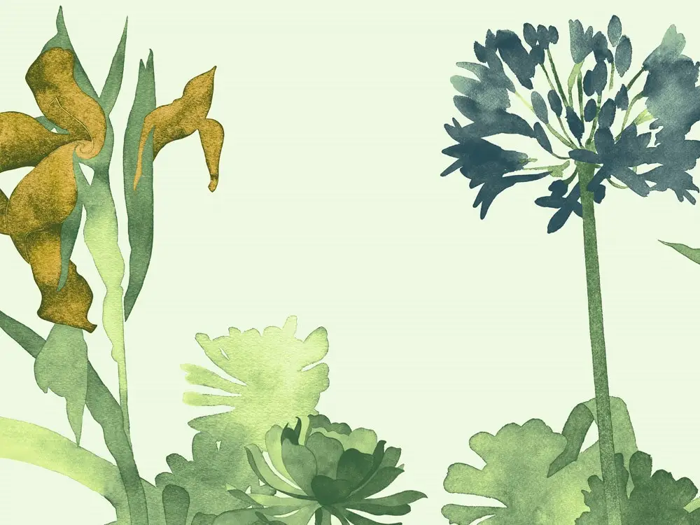 Paint & Paper Library Aloe Walk - Glass Hoge Kwaliteit
