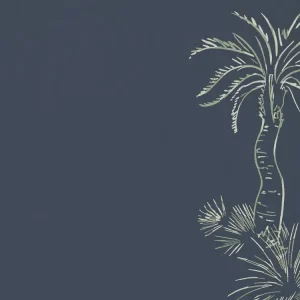 Paint & Paper Library Lighthouse Palm - Blue Pearl Weekendaanbieding