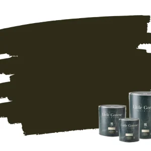 Hete Deal Little Greene Absolute Matt Emulsion - Invisible Green 56