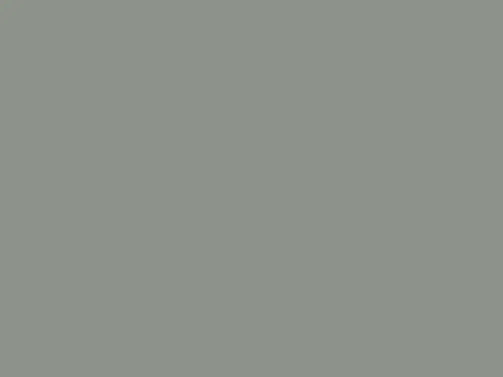 Paint & Paper Library Pure Flat Emulsion - Panel 180 Betaalbaar