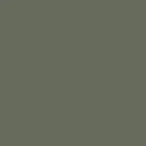 Aanbieding Paint & Paper Library Pure Flat Emulsion - Hornblende 186