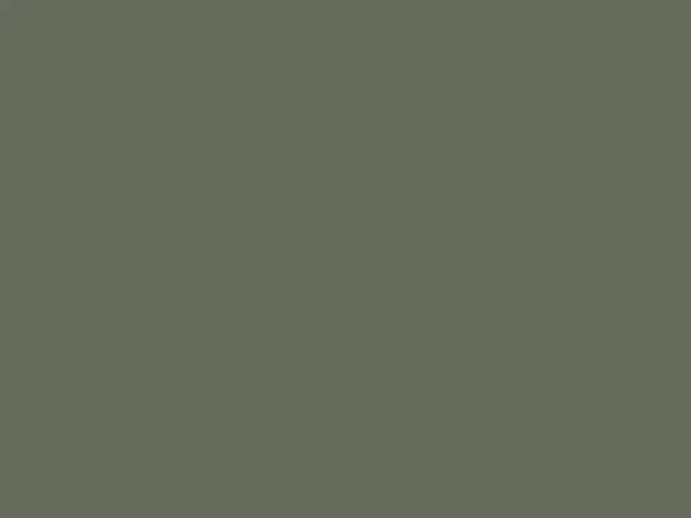 Aanbieding Paint & Paper Library Pure Flat Emulsion - Hornblende 186