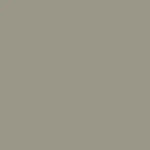Shop Nu Paint & Paper Library Architects' Eggshell - Stone V 205