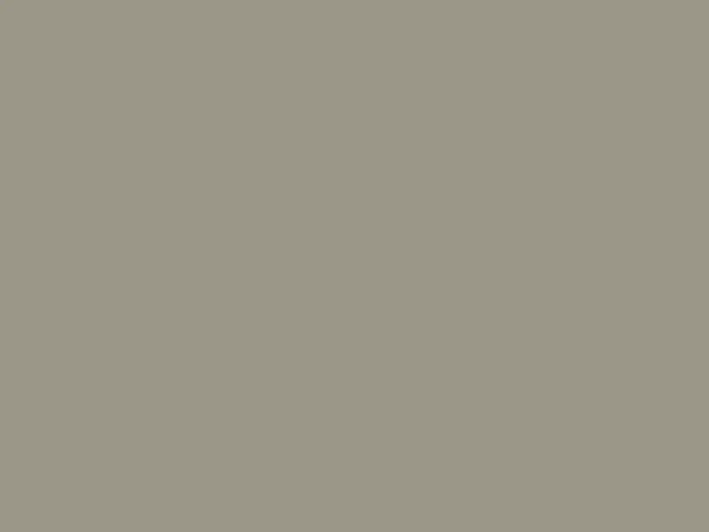 Nieuw Paint & Paper Library Pure Flat Emulsion - Moleskin 218