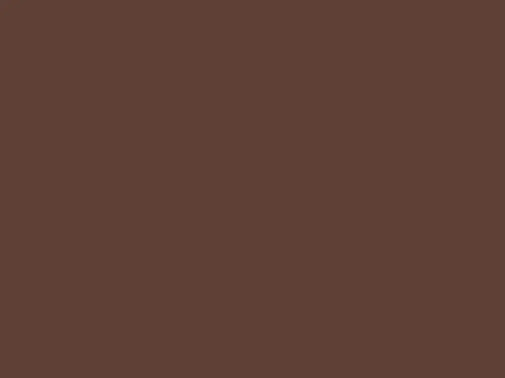 Finale Uitverkoop Paint & Paper Library Pure Flat Emulsion - Scarlet 'N' Rust 316