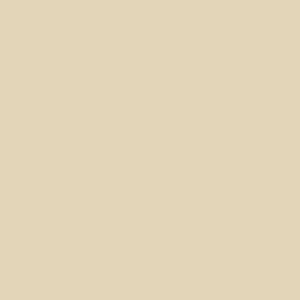 Paint & Paper Library Pure Flat Emulsion - Leather III 233 Express Levering
