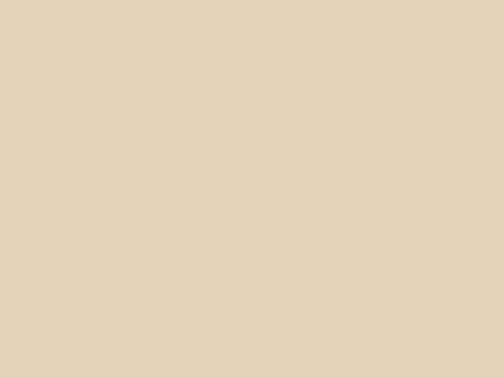Paint & Paper Library Architects' Eggshell - Leather III 233 Nieuw