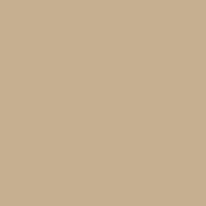 Speciale Aanbieding Paint & Paper Library Pure Flat Emulsion - Leather V 235