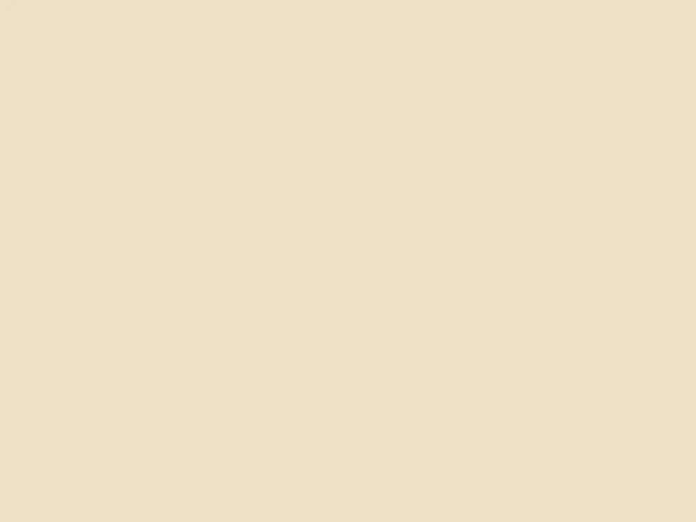 Superprijs Paint & Paper Library Pure Flat Emulsion - Paper III 433
