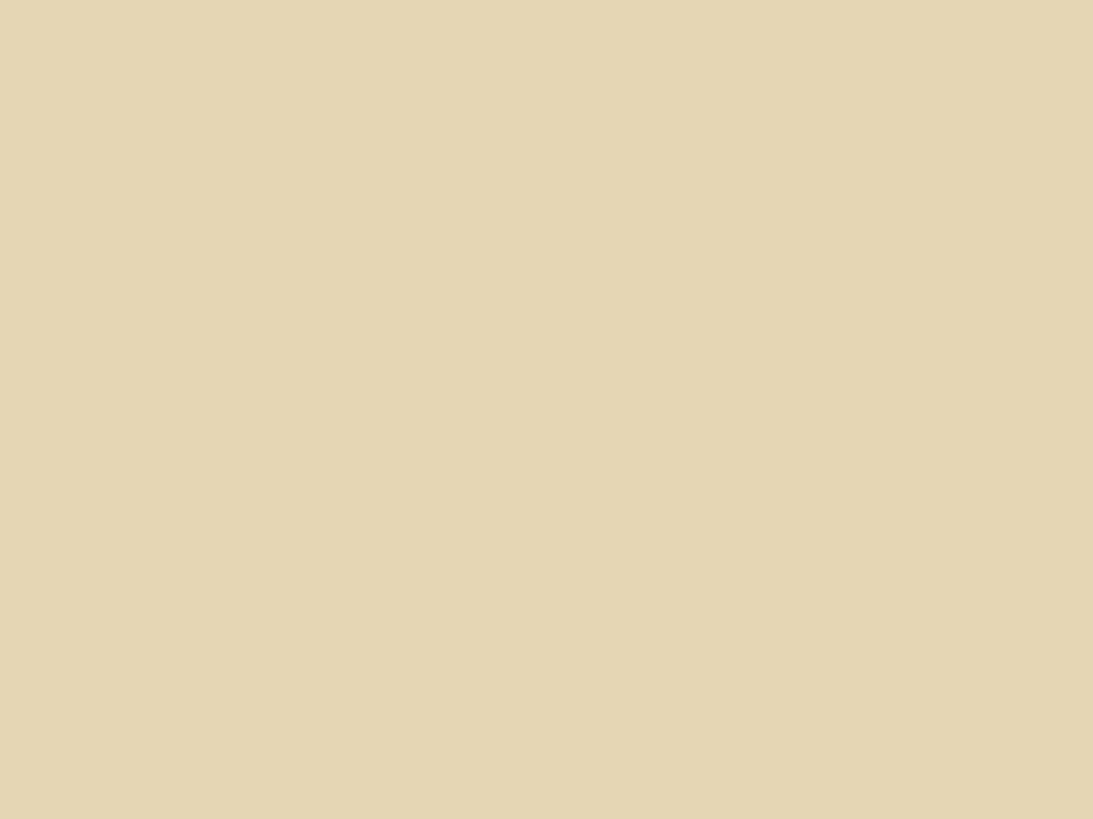 Paint & Paper Library Pure Flat Emulsion - Paper IV 434 Gratis Retour