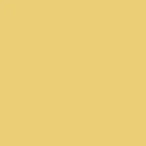 Beste Prijs Paint & Paper Library Pure Flat Emulsion - Brimstone 476