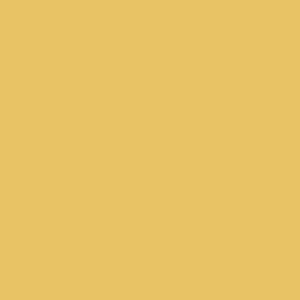 Paint & Paper Library Pure Flat Emulsion - Chinese Emperor 478 Koop Online